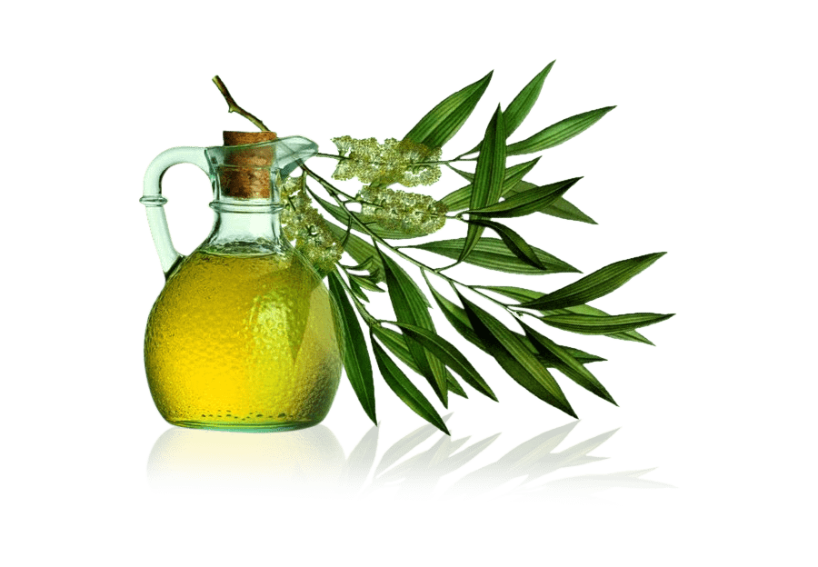 Tea Tree Oil